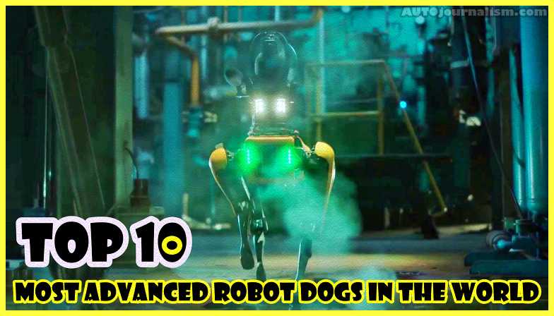 Top-10-Most-Advanced-Robot-Dogs-in-the-World
