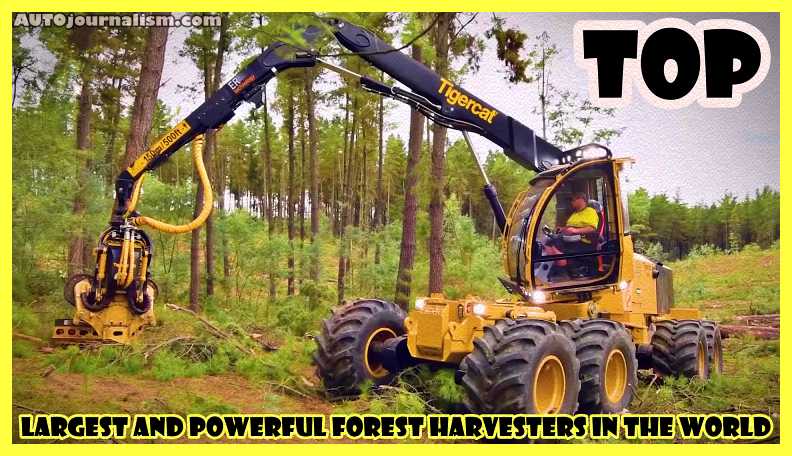 Top-10-Largest-and-Powerful-Forest-Harvesters-in-the-World