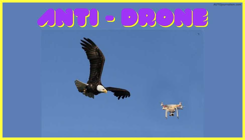 Top 10 Best Anti Drone System In The World (Drone Hunters)